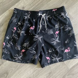 Men’s Hollister Swimsuit/Swim Trunks
